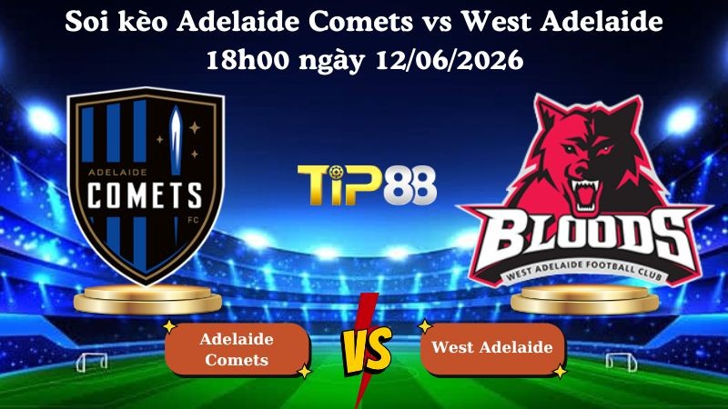 TIP88 Nhận định soi kèo Adelaide Comets vs West Adelaide 18h00 ngày 12/06/2026 - Australia NPL South Australia
