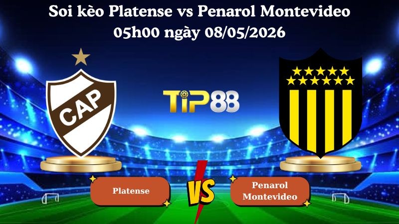 TIP88 Nhận định soi kèo Platense vs Penarol Montevideo 05h00 ngày 08/05/2026 - Copa Libertadores